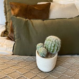COPY - Cactus Decor